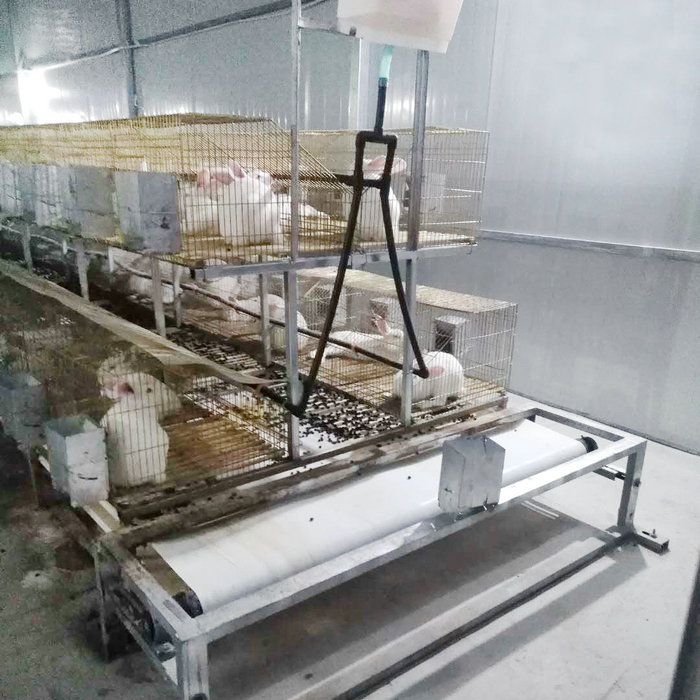 兔用自动清粪机 (9).jpg