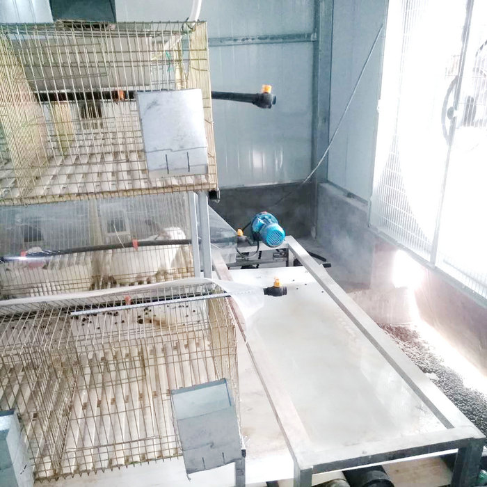 兔用自动清粪机 (7).jpg