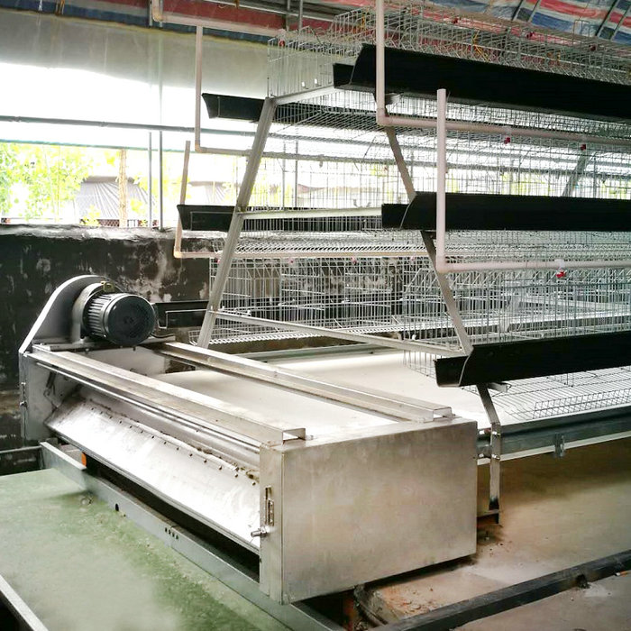 PP清粪带蛋鸡清粪机 (1).jpg