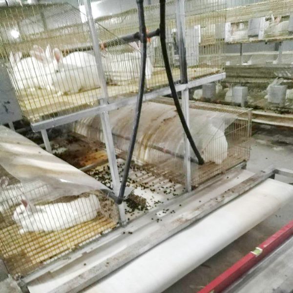 兔用自动清粪机