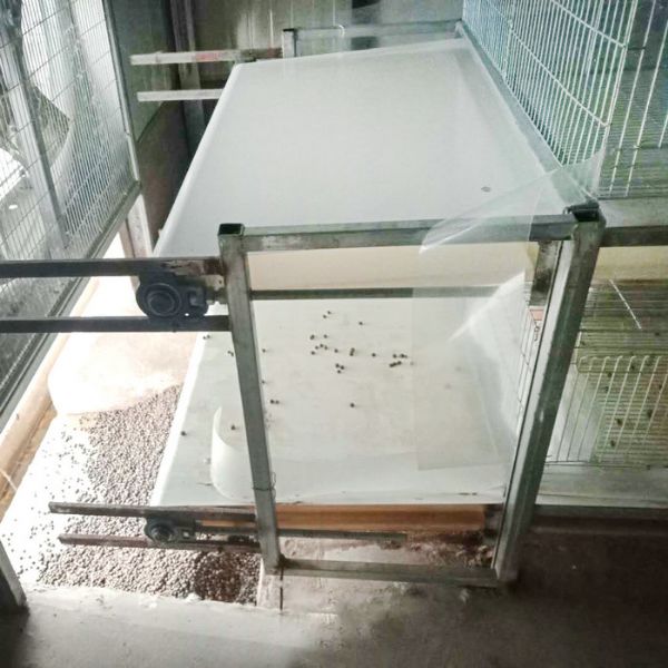 兔用自动清粪机