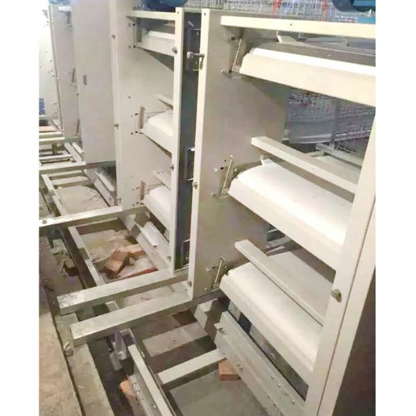 肉鸡全自动清粪机