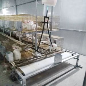 兔用自动清粪机