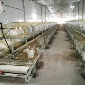 兔用自动清粪机
