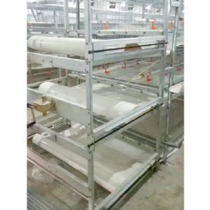 肉鸡全自动清粪机