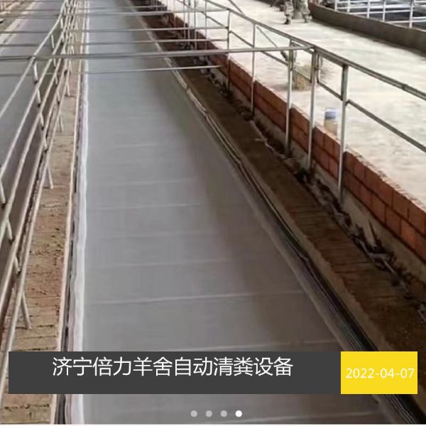 羊舍自动清粪设备
