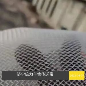 羊舍传送带